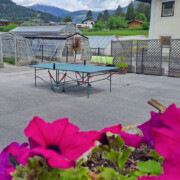 Tischtennistisch